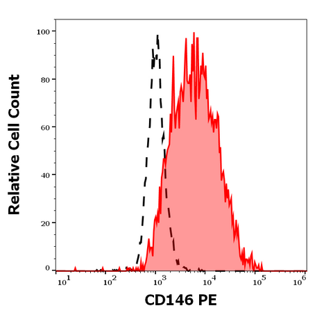 PE Anti-Human CD146 (P1H12)