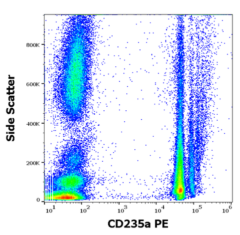 PE Anti-Human CD235a (JC159)