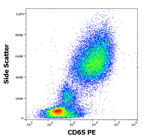 PE Anti-Human CD65 (VIM8)