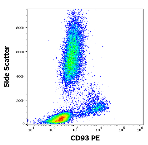 PE Anti-Human CD93 (VIMD2)