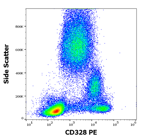 PE Anti-Human CD328 (Siglec-7) (6-434)