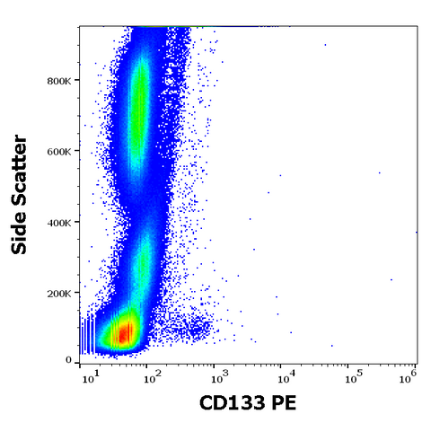 PE Anti-Human CD133 (293C3)