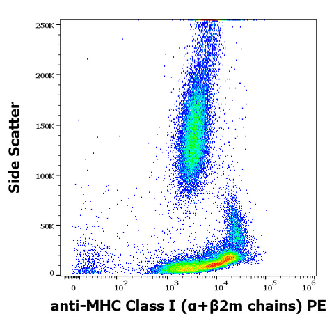PE Anti-Human MHC Class I (a+b2m chains) (IVA26)