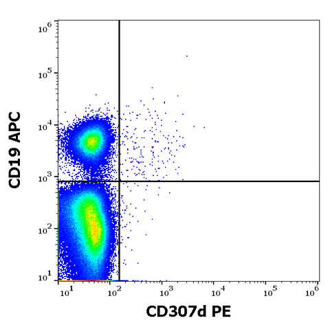 PE Anti-Human CD307d (A1)