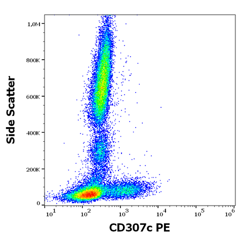 PE Anti-Human CD307c (H5)