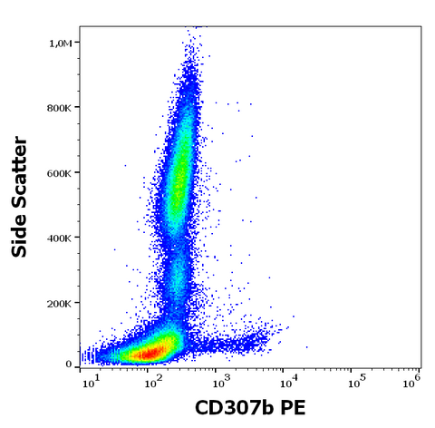 PE Anti-Human CD307b (B24)