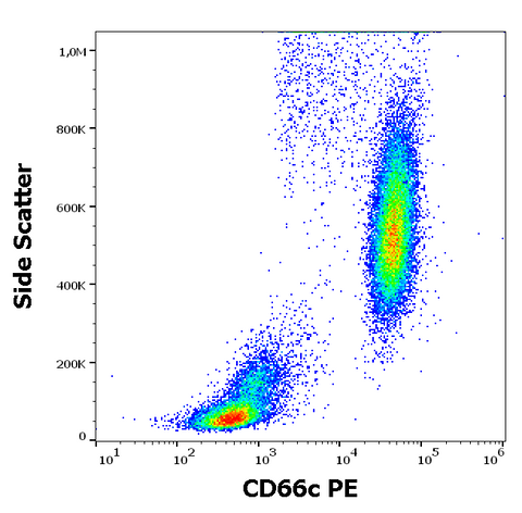 PE Anti-Human CD66c (B6.2)