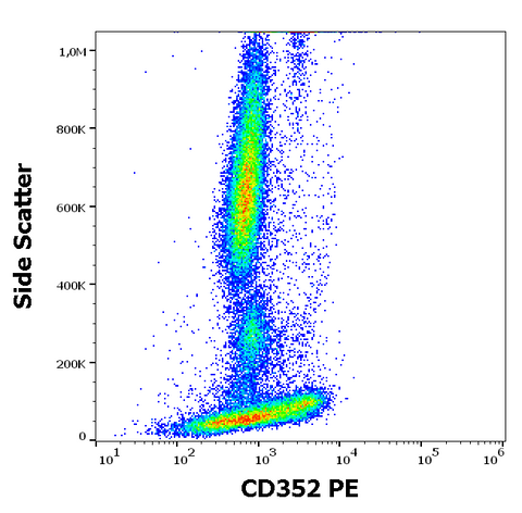 PE Anti-Human CD352 (hsF6.4.20)