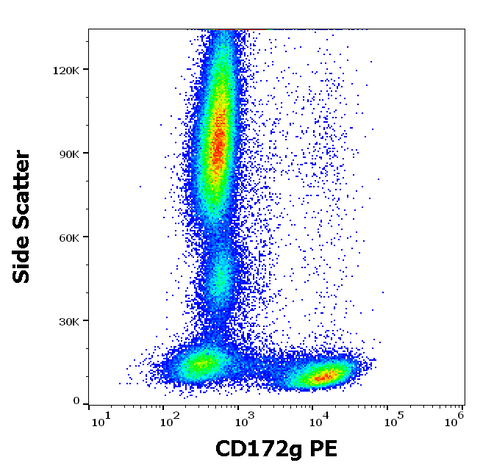 PE Anti-Human CD172g (OX-119)