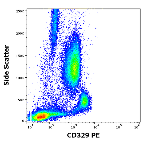 PE Anti-Human CD329 (Siglec-9) (K8)