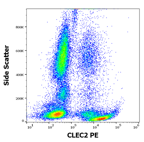 PE Anti-Human CLEC2 (AYP1)