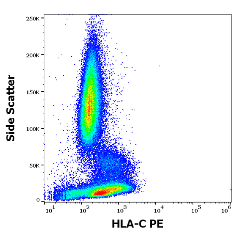 PE Anti-Human MHC Class I (HLA-C) (DT-9)