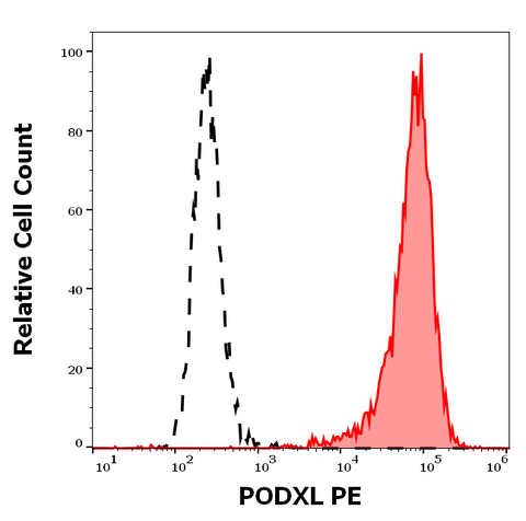 PE Anti-Human Podocalyxin (PcMab-47)