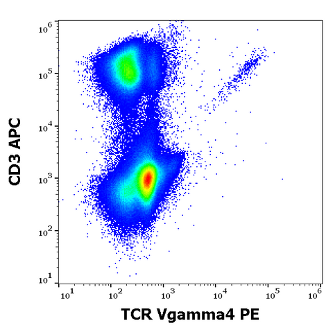 PE Anti-Human TCR Vg4 (4A11.904)
