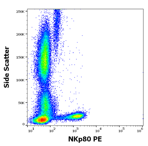 PE Anti-Human NKp80 (5D12)