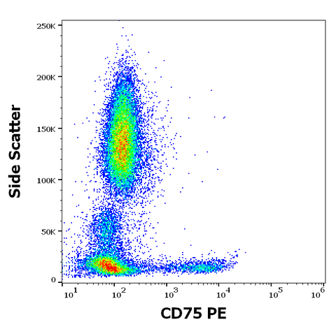 PE Anti-Human CD75 (LN1)