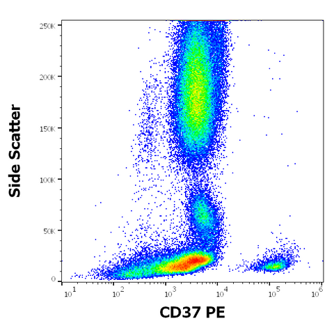 PE Anti-Human CD37 (MB-1)