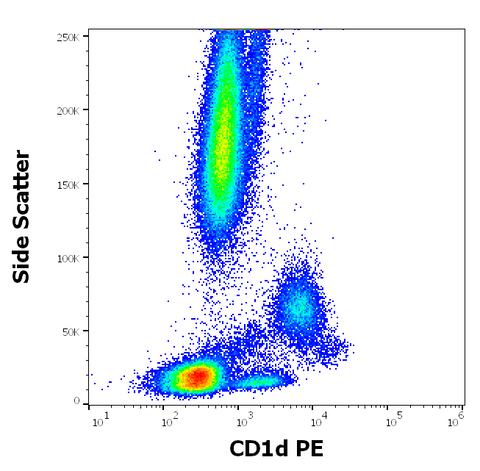 PE Anti-Human CD1d (51.1)