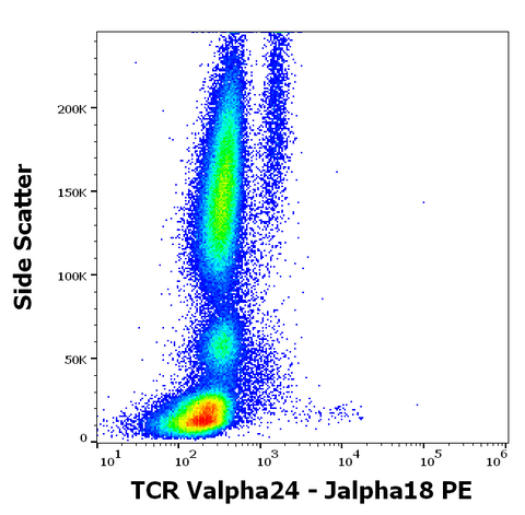 PE Anti-Human TCR Va24-Ja18 (6B11)