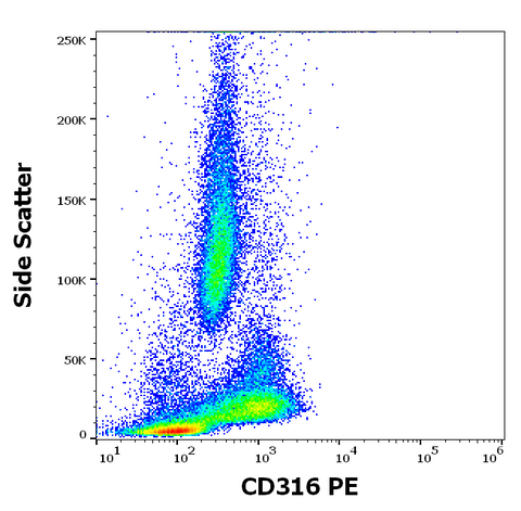 PE Anti-Human CD316 (8A12)