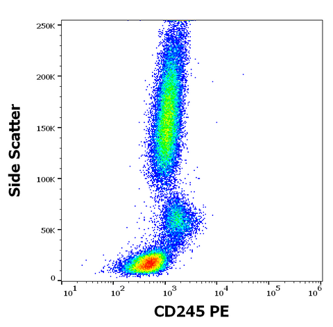PE Anti-Human CD245 (DY12)