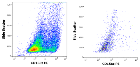 PE Anti-Human CD158z (CH21)