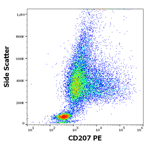 PE Anti-Human CD207 (2G3)