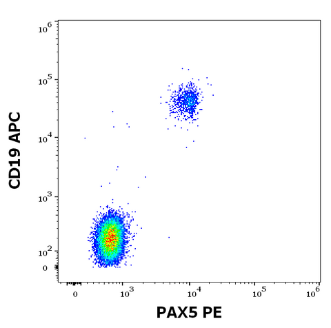PE Anti-Human/Mouse PAX5 (1H9)