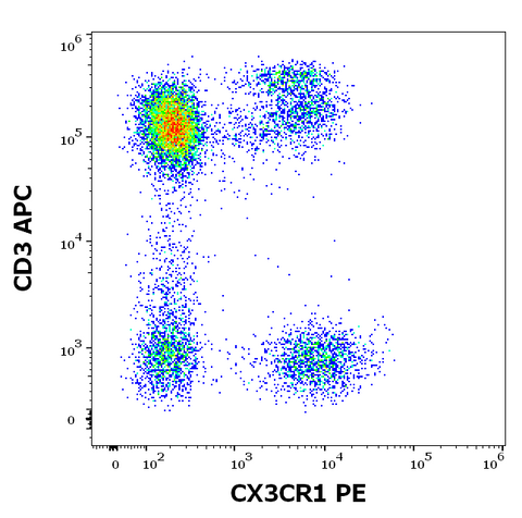 PE Anti-Human CX3CR1 (2A9-1)