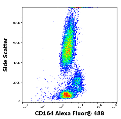 Alexa Fluor<sup>&trade;</sup> 488 Anti-Human CD164 (67D2)