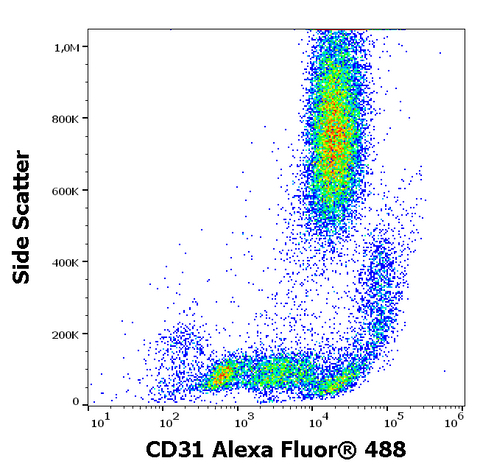 Alexa Fluor<sup>&trade;</sup> 488 Anti-Human CD31 (MEM-05)
