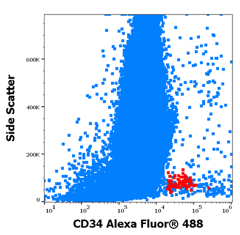 Alexa Fluor<sup>&trade;</sup> 488 Anti-Human CD34 (4H11)