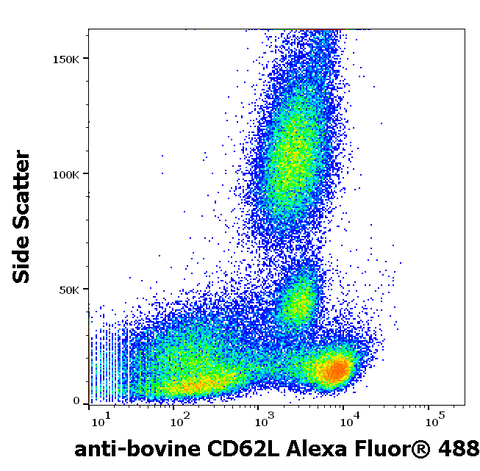 Alexa Fluor<sup>&trade;</sup> 488 Anti-Bovine CD62L (L-Selectin) (IVA94)