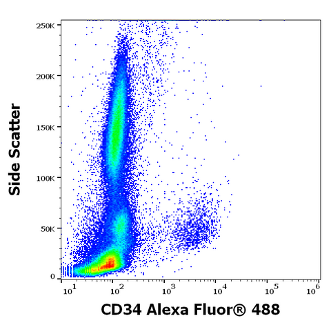 Alexa Fluor<sup>&trade;</sup> 488 Anti-Human CD34 (QBEnd/10)