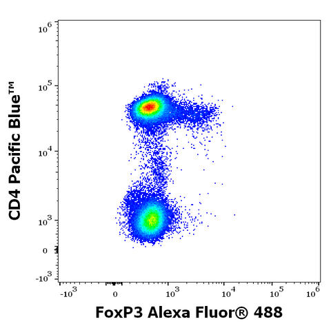 Alexa Fluor<sup>&trade;</sup> 488 Anti-Mouse Foxp3 (3G3)
