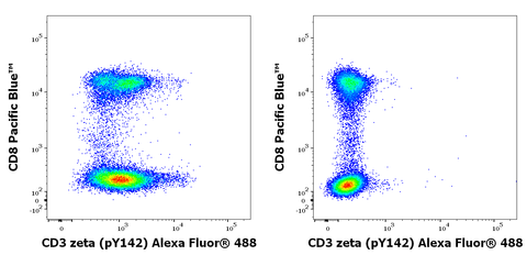 Alexa Fluor<sup>&trade;</sup> 488 Anti-Human CD3 Zeta (pY142) (EM-54)