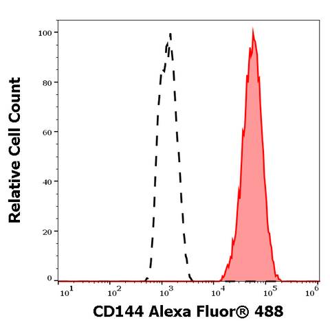 Alexa Fluor<sup>&trade;</sup> 488 Anti-Human CD144 (VE-Cadherin) (55-7H1)