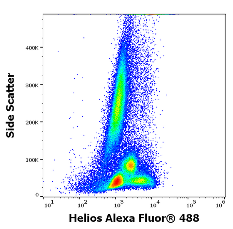 Alexa Fluor<sup>&trade;</sup> 488 Anti-Human/Mouse Helios (22F6)