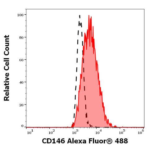 Alexa Fluor<sup>&trade;</sup> 488 Anti-Human CD146 (P1H12)