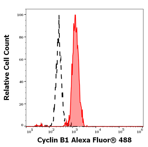 Alexa Fluor<sup>&trade;</sup> 488 Anti-Mammal Cyclin B1 (V152)
