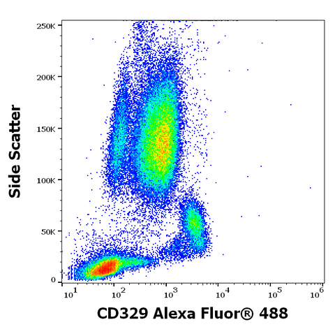 Alexa Fluor<sup>&trade;</sup> 488 Anti-Human CD329 (Siglec-9) (K8)