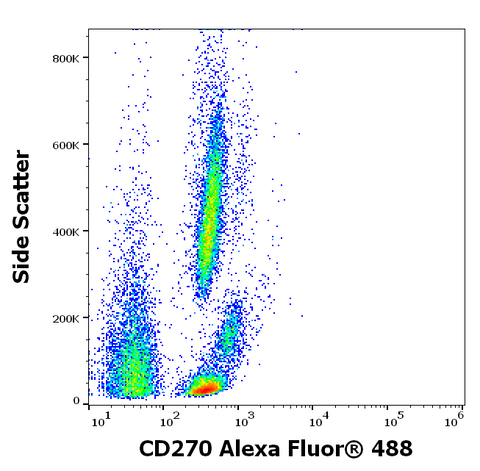 Alexa Fluor<sup>&trade;</sup> 488 Anti-Human CD270 (CW10)