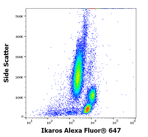 Alexa Fluor<sup>&trade;</sup> 647 Anti-Human/Mouse IKAROS (4E9)
