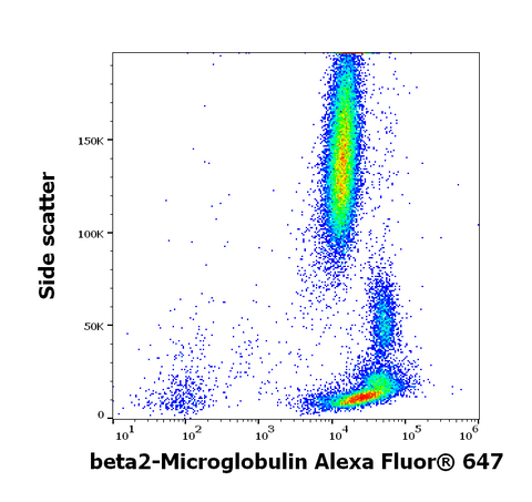 Alexa Fluor<sup>&trade;</sup> 647 Anti-Human Beta-2 Microglobulin (B2M-01)