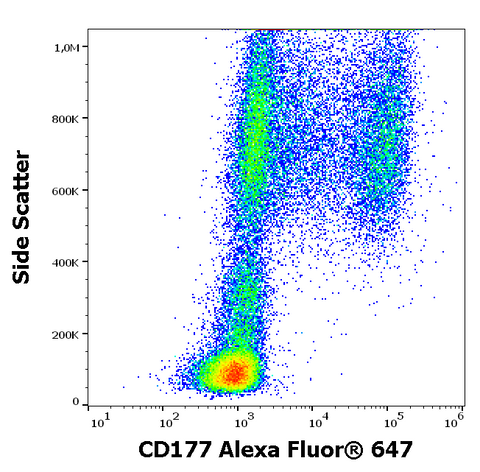 Alexa Fluor<sup>&trade;</sup> 647 Anti-Human CD177 (MEM-166)