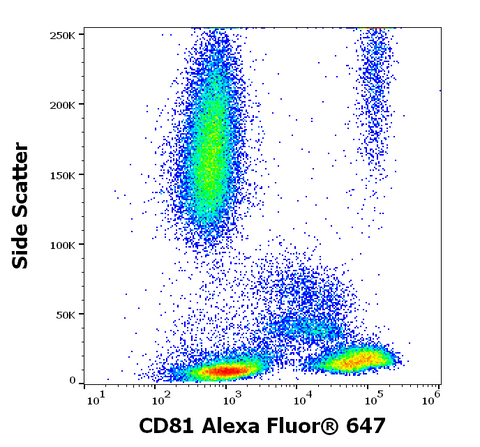 Alexa Fluor<sup>&trade;</sup> 647 Anti-Human CD81 (M38)
