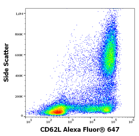 Alexa Fluor<sup>&trade;</sup> 647 Anti-Human CD62L (L-Selectin) (DREG56)