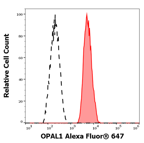 Alexa Fluor<sup>&trade;</sup> 647 Anti-Human OPAL1 (OPAL1-01)