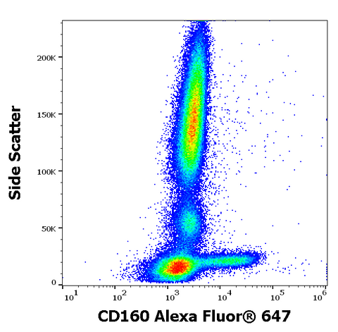 Alexa Fluor<sup>&trade;</sup> 647 Anti-Human CD160 (NK1) (BY55)