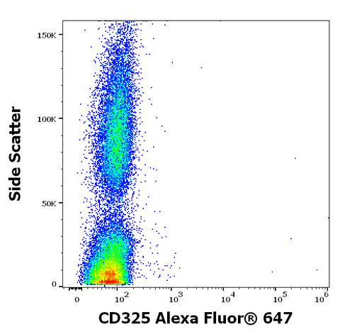 Alexa Fluor<sup>&trade;</sup> 647 Anti-Human CD325 (N-Cadherin) (8C11)